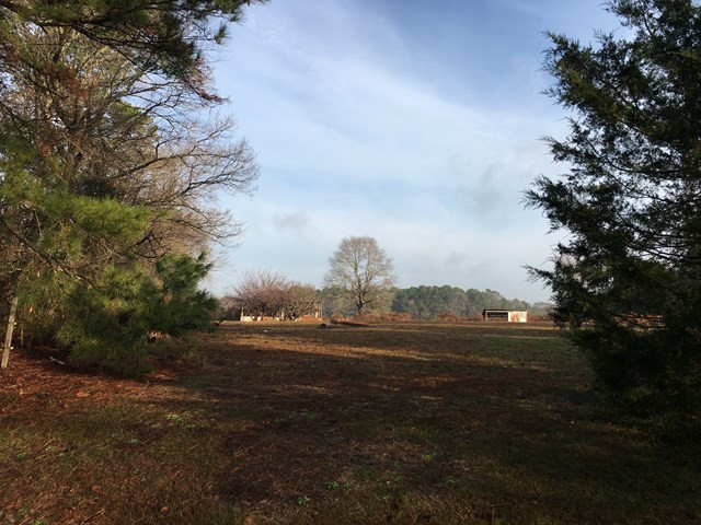 361 Adams Road Seven Springs, NC 28578 - Photo 6 of 6 Gallery Image 6