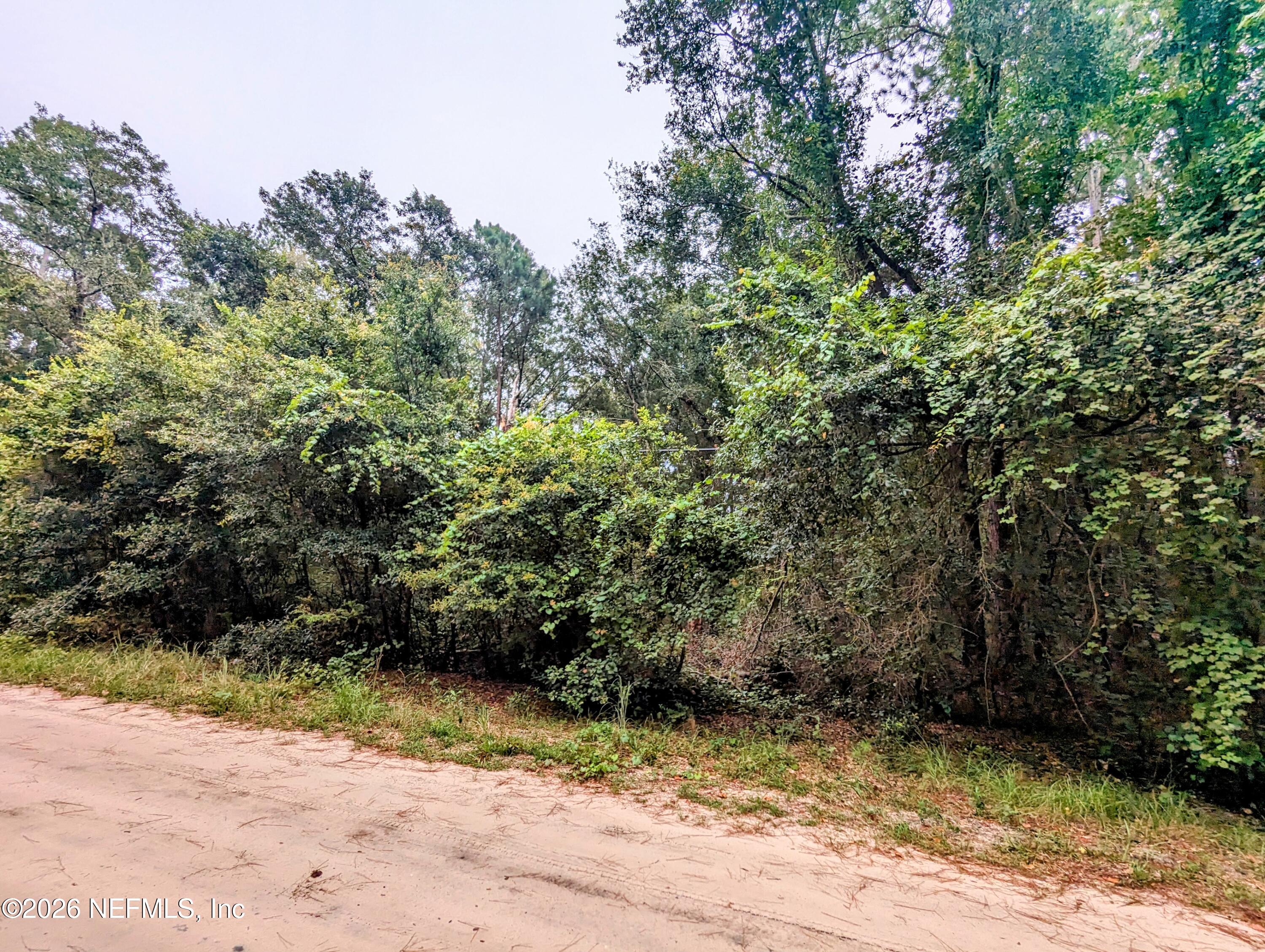 5673 Caribbean Circle Keystone Heights, FL 32656 - Photo 1 of 12 a view of a wooden fence and trees
