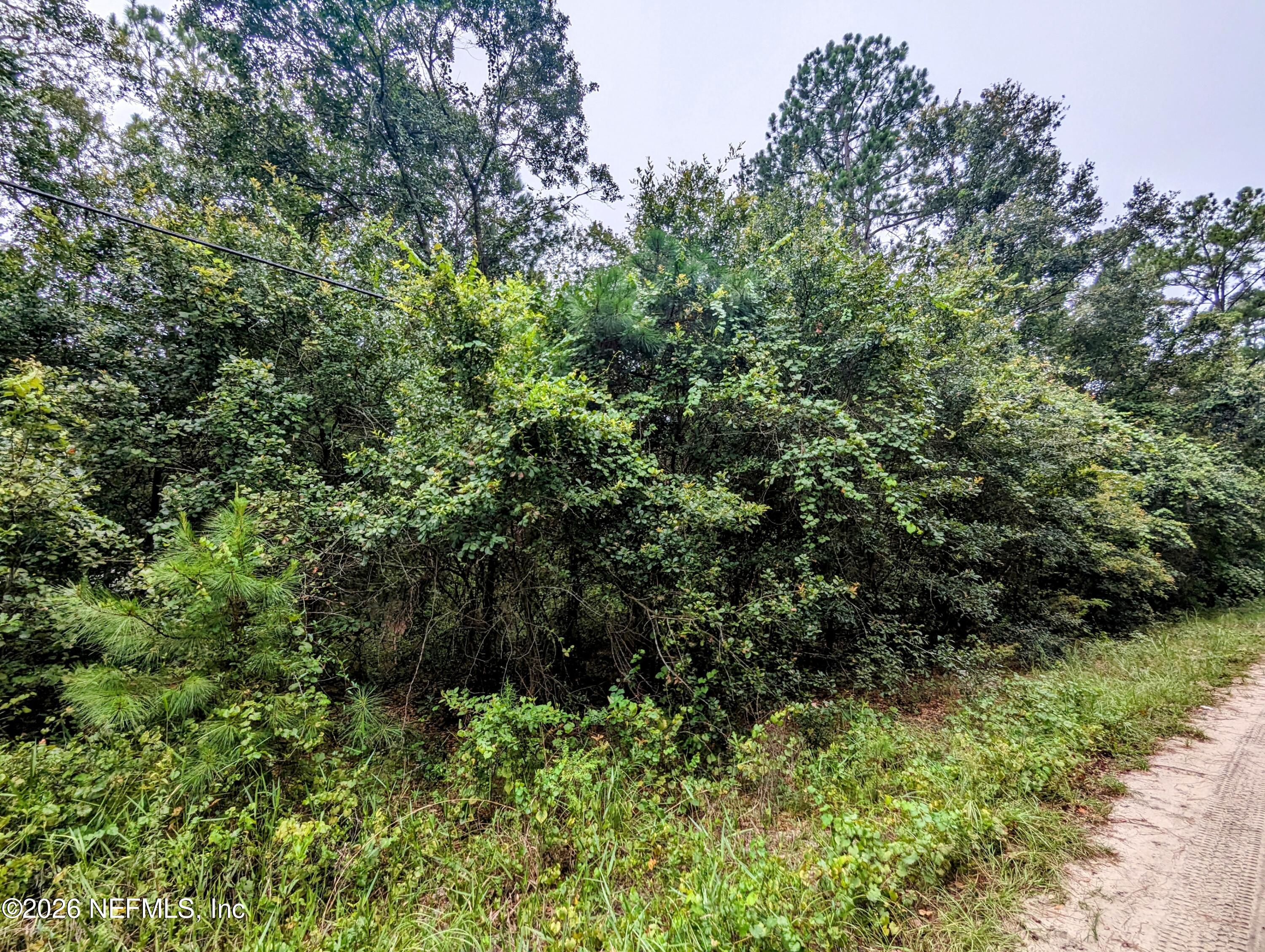 5673 Caribbean Circle Keystone Heights, FL 32656 - Photo 2 of 12 a view of a lush green forest