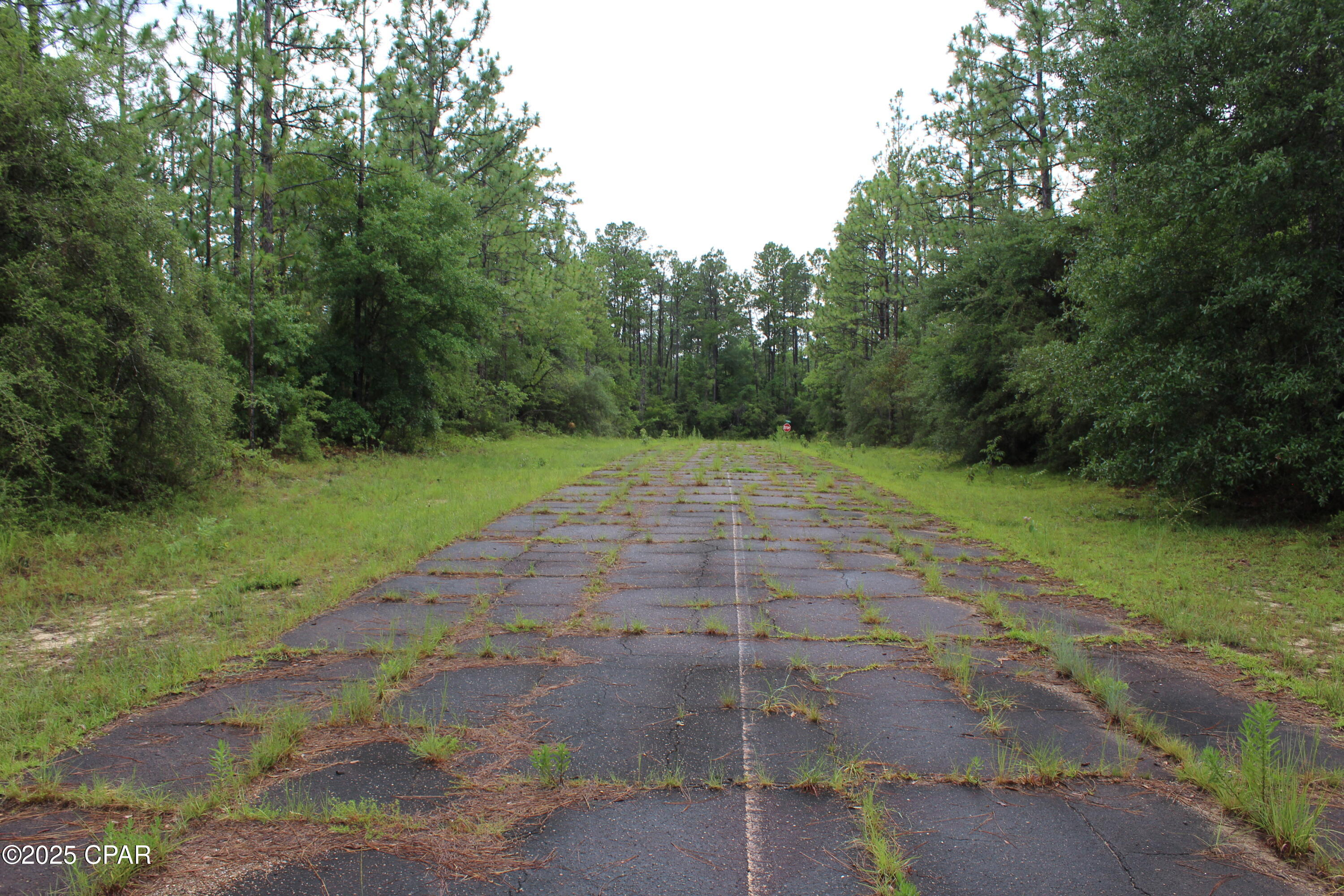 Tbd Deborah Avenue Chipley, FL 32428 - Photo 2 of 5