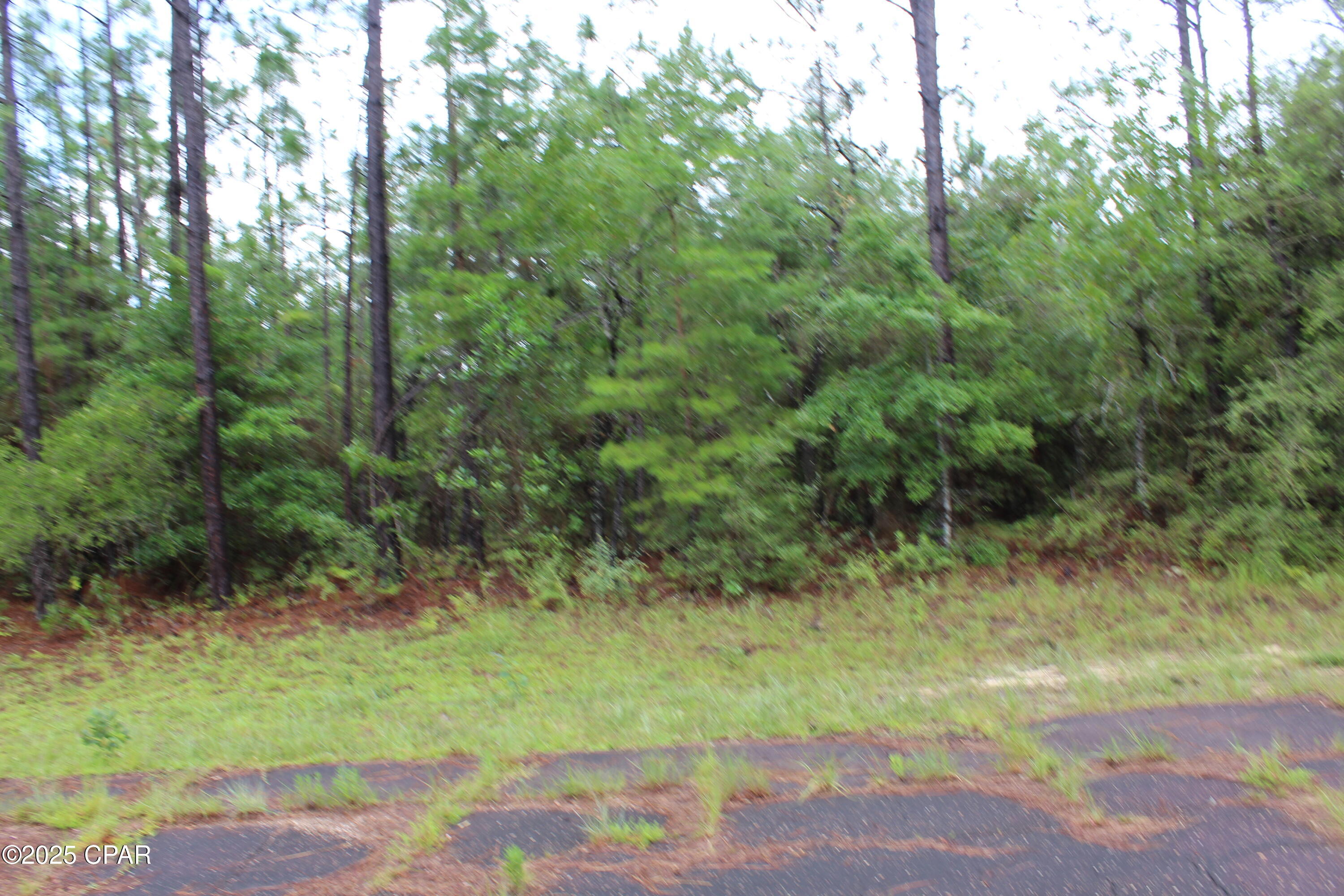 Tbd Deborah Avenue Chipley, FL 32428 - Photo 4 of 5