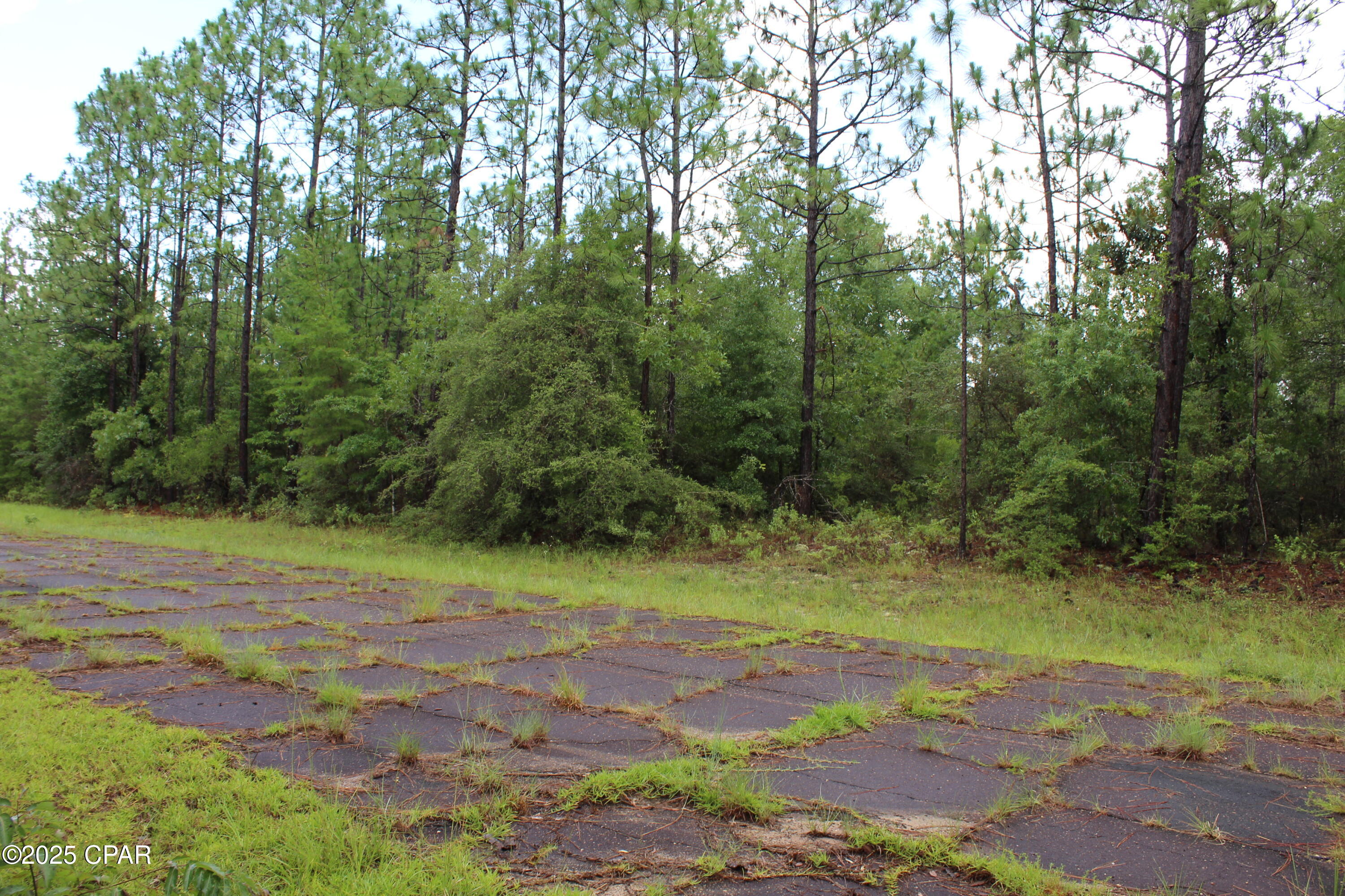 Tbd Deborah Avenue Chipley, FL 32428 - Photo 5 of 5