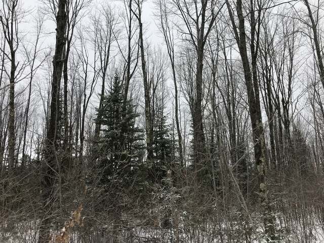 148-ac Sunset Point Road Tomahawk, WI 54487 - Photo 15 of 23 Gallery Image 15