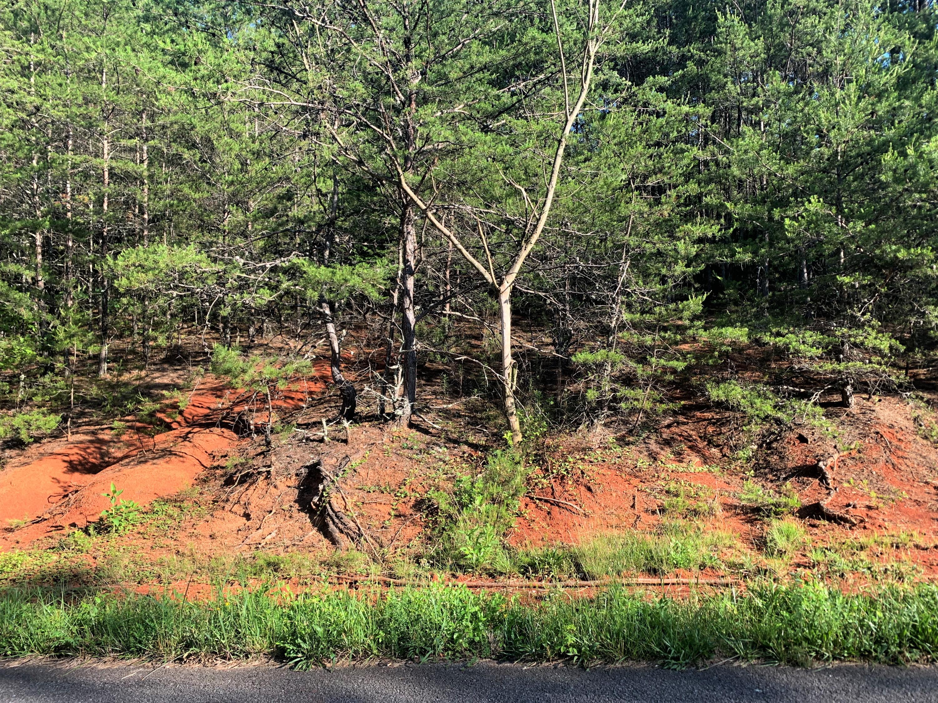 Lot 5 Tucson Road Newport, TN 37821 - Photo 4 of 5 04