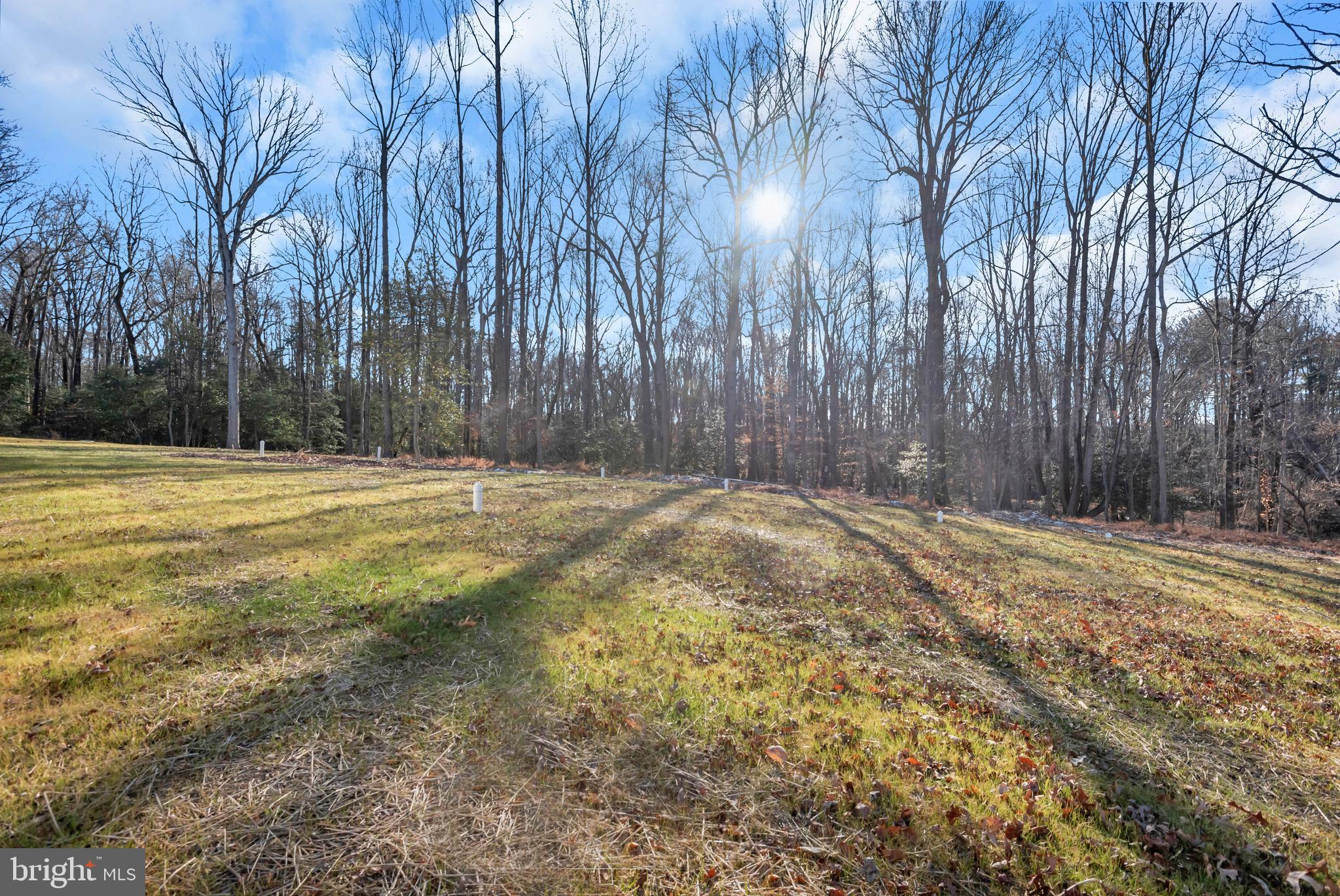 6502 Whitetail Xing Way Hanover, MD 21076 - Photo 38 of 58