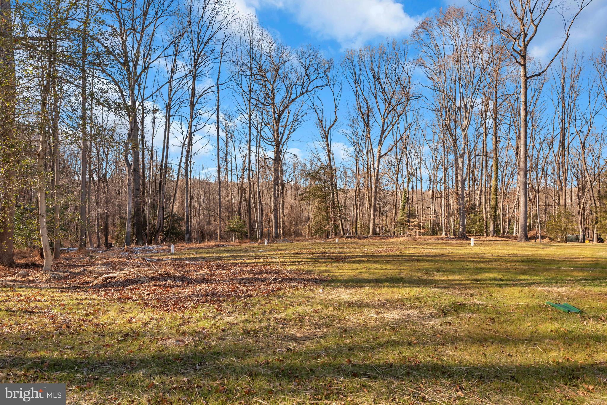 6502 Whitetail Xing Way Hanover, MD 21076 - Photo 47 of 58