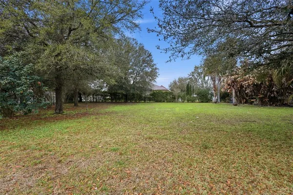 a view of a field with tree in the background