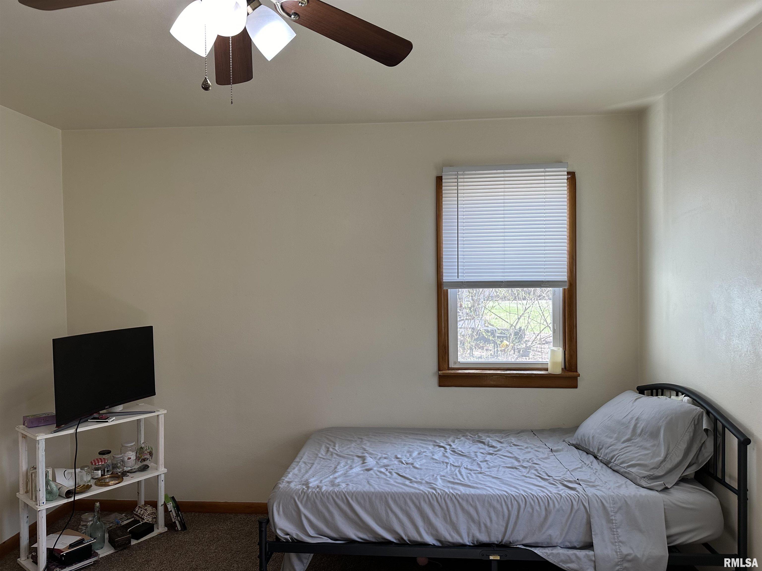 128 Minnesota Road Carbondale, IL 62903 - Photo 11 of 34 Gallery Image 11