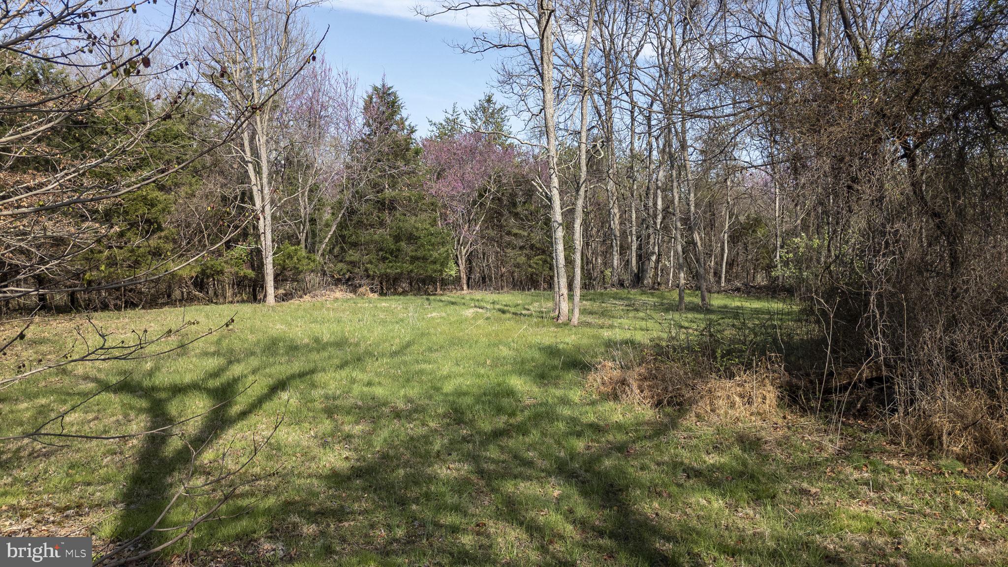 Goggin Ford Road Bedford, VA 24523 - Photo 4 of 20
