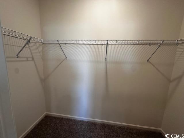 219 Linares Street Loris, SC 29569 - Photo 9 of 10 Spacious closet featuring carpet floors