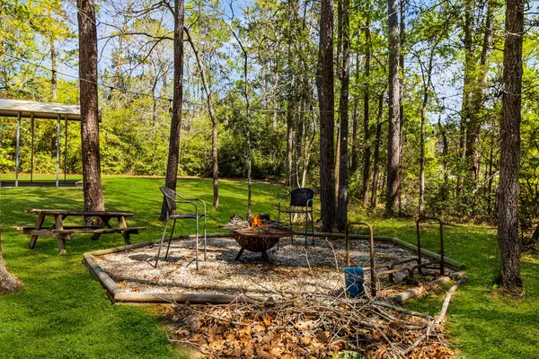a view of a park with large trees