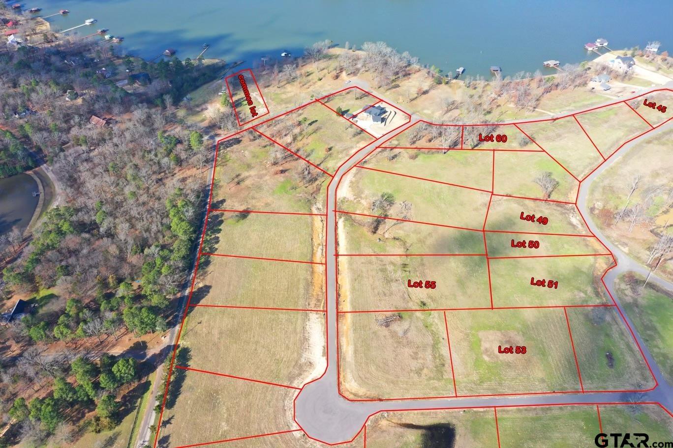Tbd Lot 60 Tbd Pittsburg, TX 75686 - Photo 11 of 20