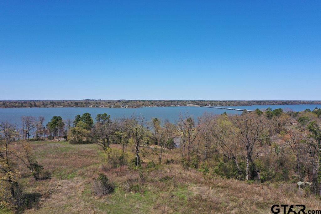 Tbd Lot 60 Tbd Pittsburg, TX 75686 - Photo 19 of 20
