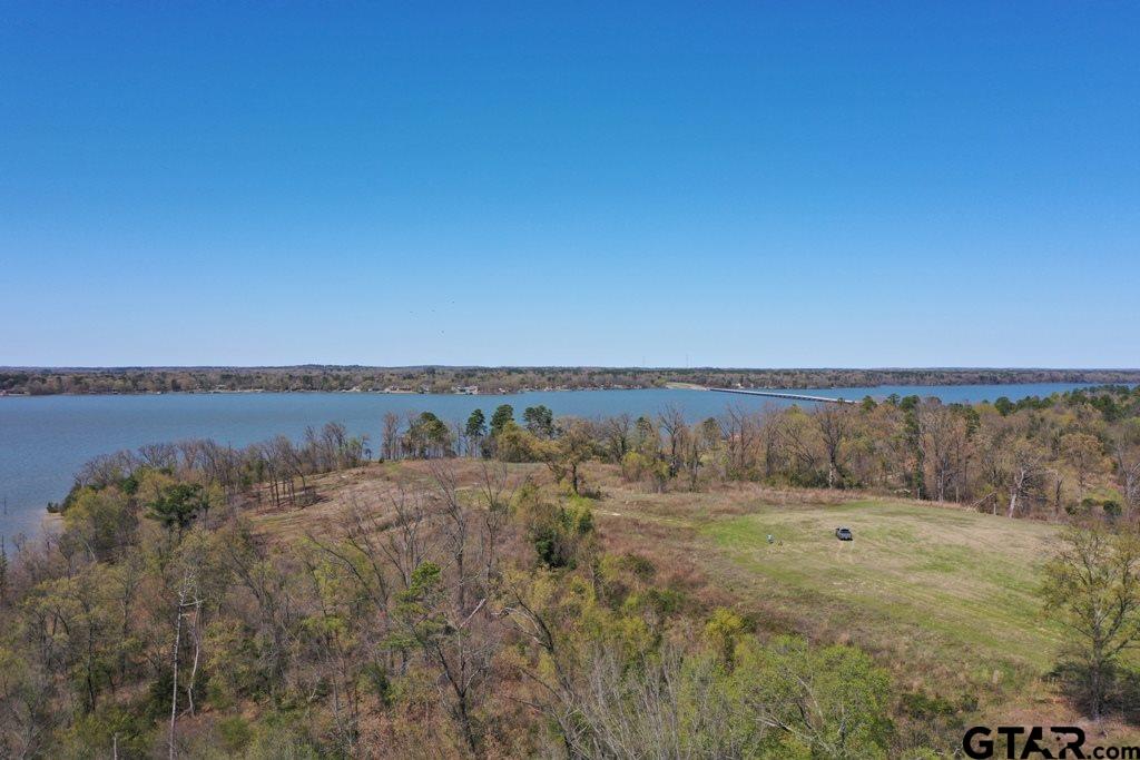 Tbd Lot 60 Tbd Pittsburg, TX 75686 - Photo 20 of 20
