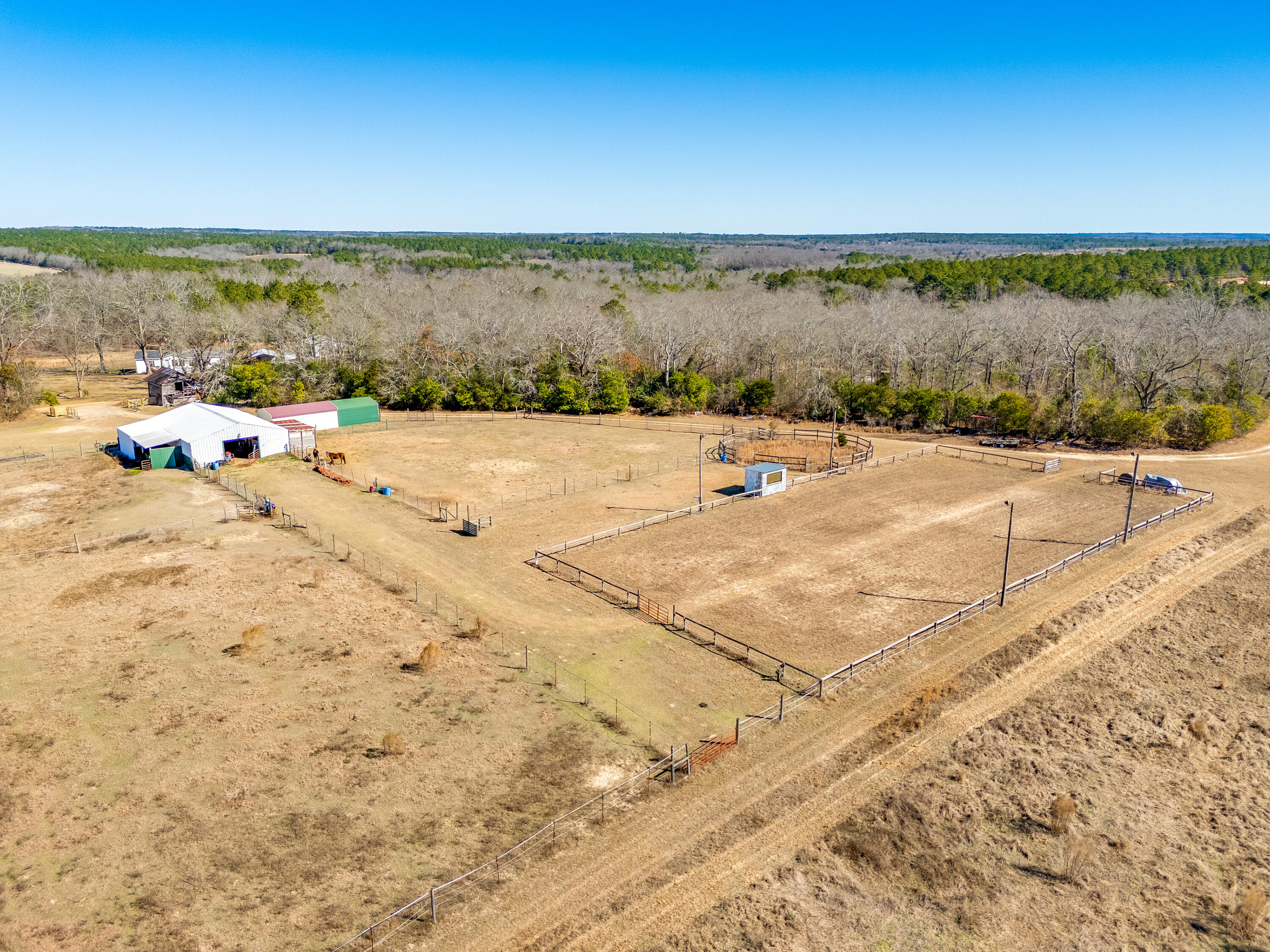 1080 Fox Young Road Wagener, SC 29164 - Photo 62 of 65 78-print-2026 02 16 - 1080 Fox Young Roa