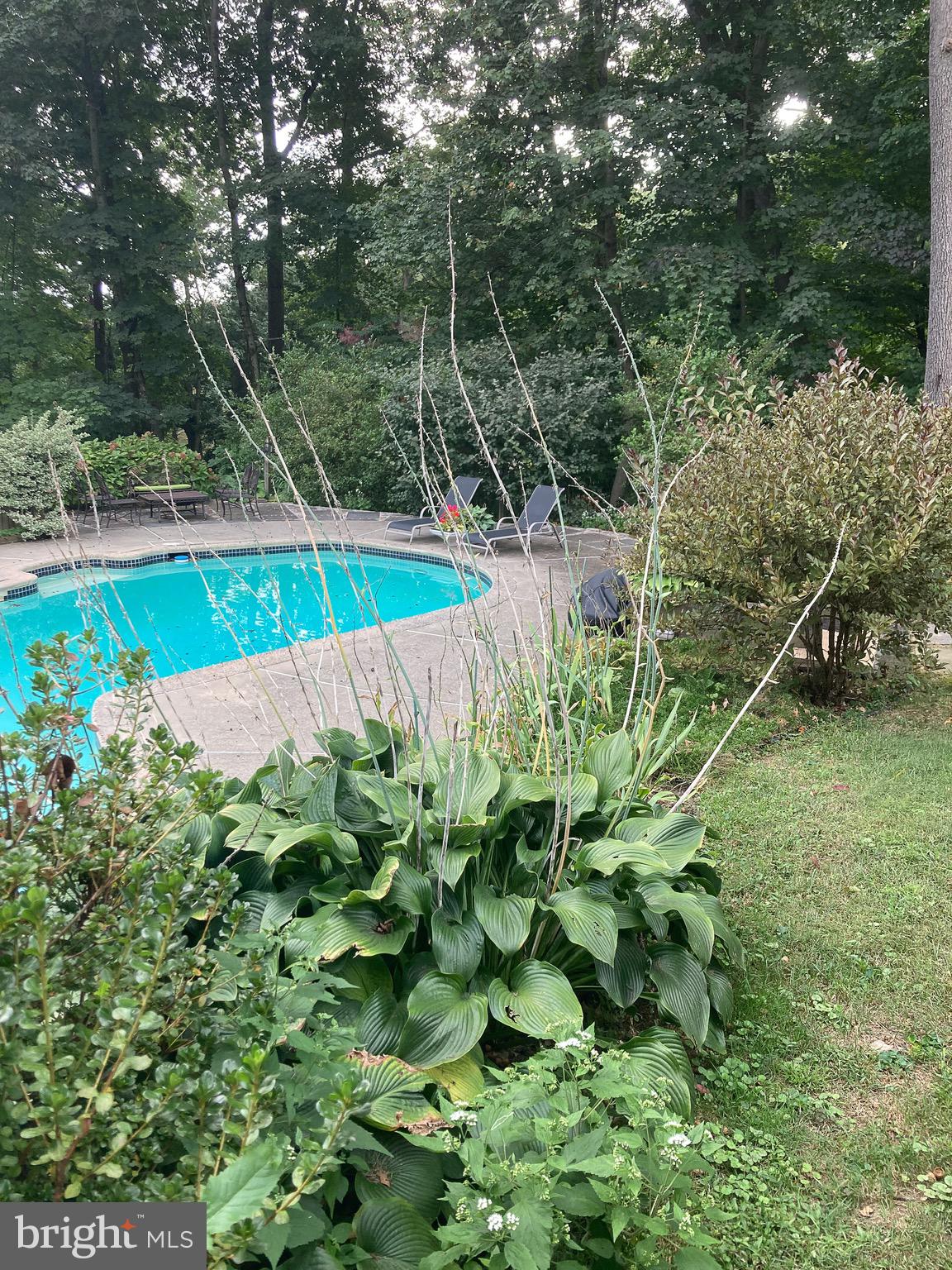 21 Weirwood Lane Wayne, PA 19087 - Photo 44 of 52 Pool in Season