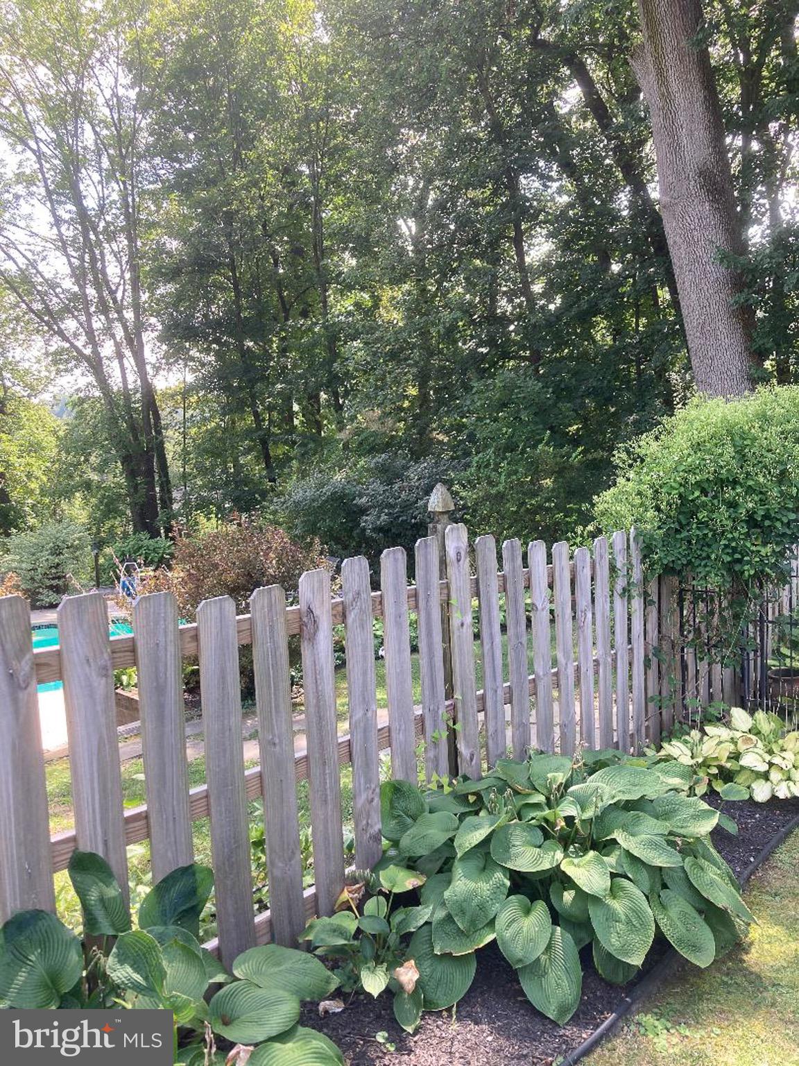 21 Weirwood Lane Wayne, PA 19087 - Photo 46 of 52 Pool in Season