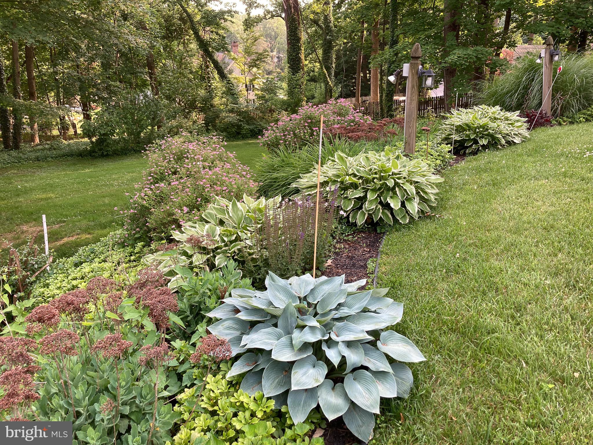21 Weirwood Lane Wayne, PA 19087 - Photo 48 of 52 Beautiful Perennials