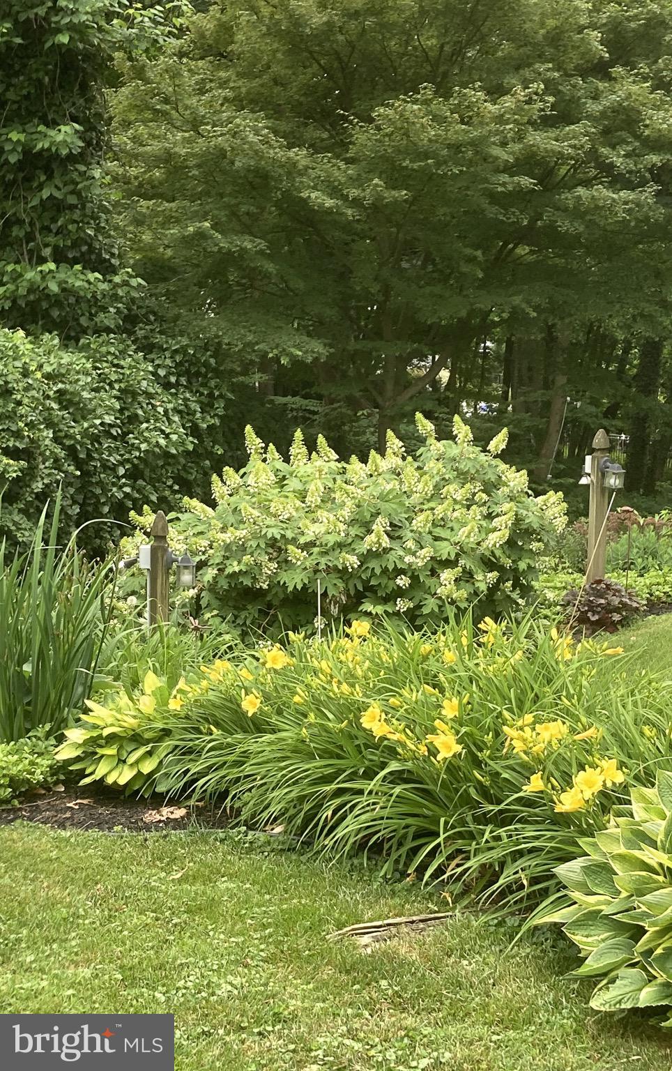 21 Weirwood Lane Wayne, PA 19087 - Photo 50 of 52 Springtime Beauties