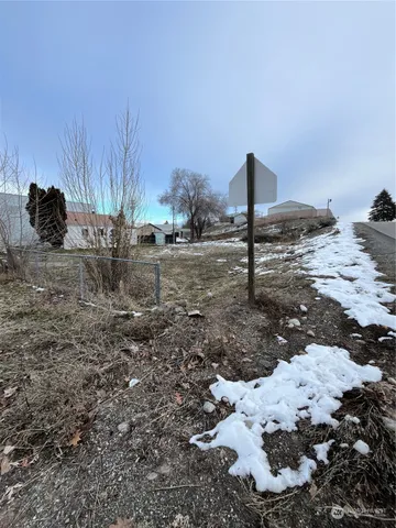 a view of a dry yard with trees