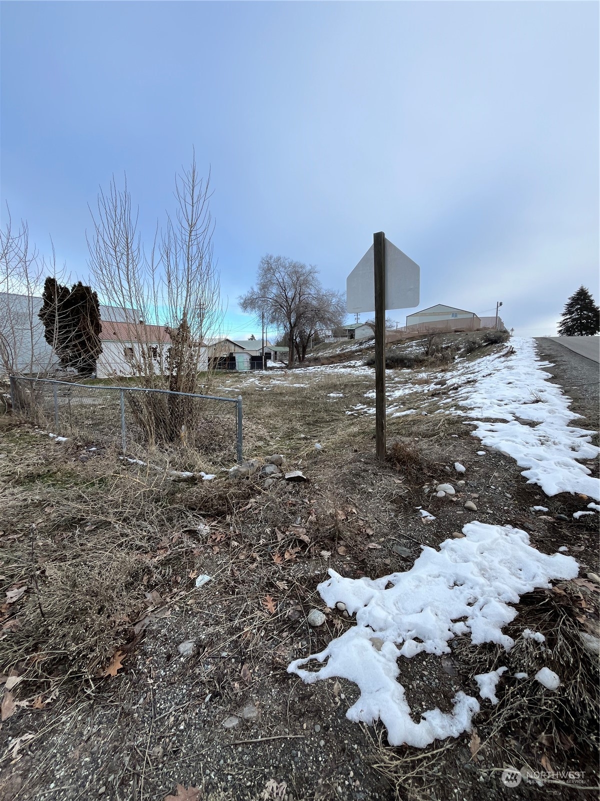 335 12th Street Bridgeport, WA 98813 - Photo 5 of 6 a view of a dry yard with trees