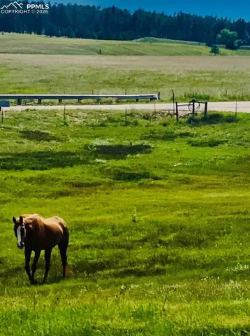 a view of a lake with a yard