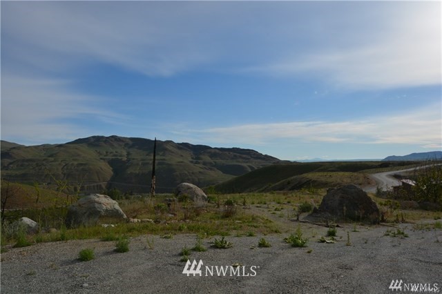 84 Alta Lake Road Pateros, WA 98846 - Photo 1 of 11 Gallery Image 1