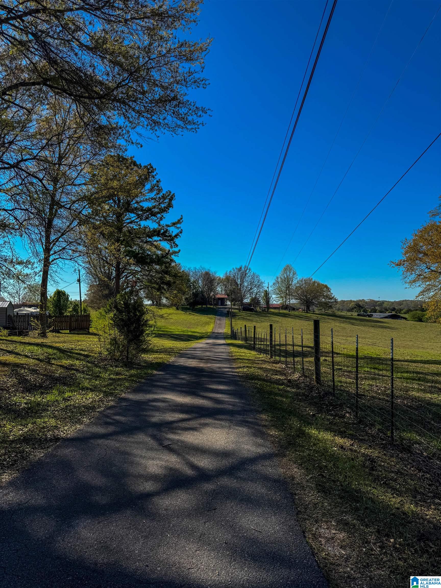 1432 Peaceful Valley Road Eastaboga, AL 36260 - Photo 79 of 91