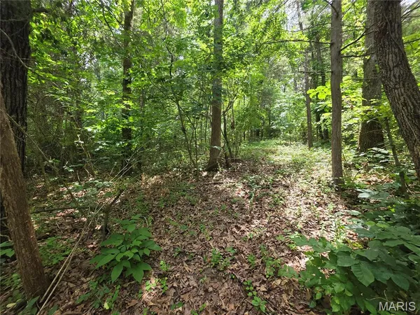 $17,500 | 0 South Lakeshore Drive, Hillsboro, MO 63050