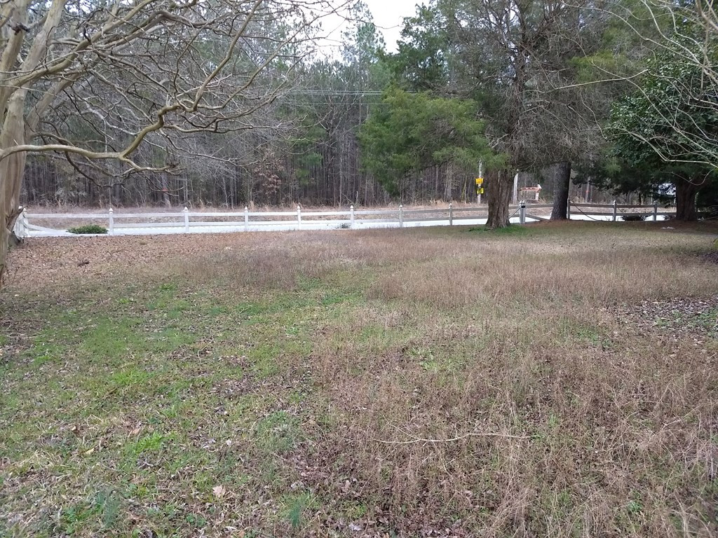 2626 M W Rickenbaker Road Manning, SC 29102 - Photo 10 of 34 Gallery Image 10
