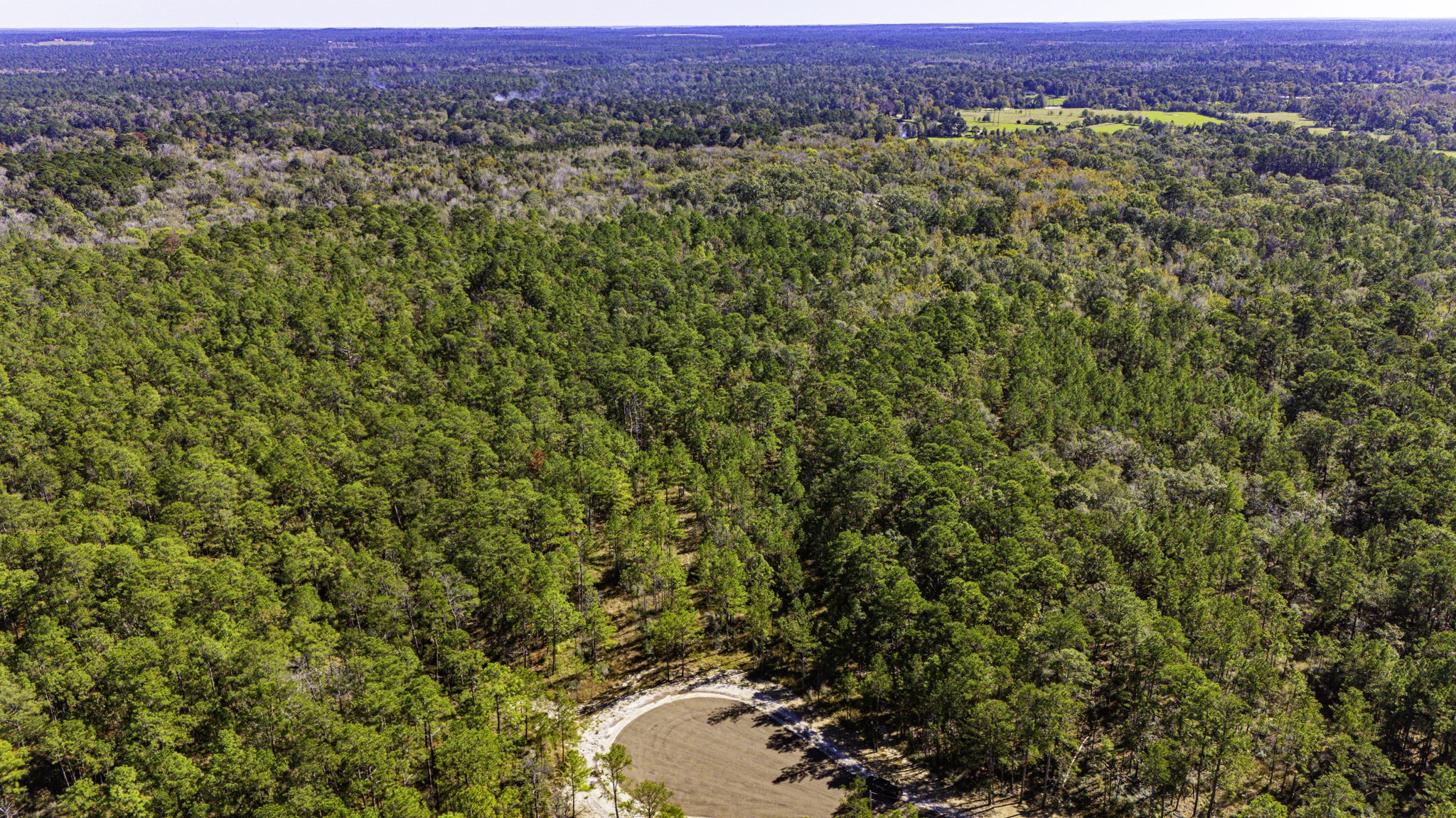 35 Magnolia Ranch Road Onalaska, TX 77360 - Photo 6 of 12