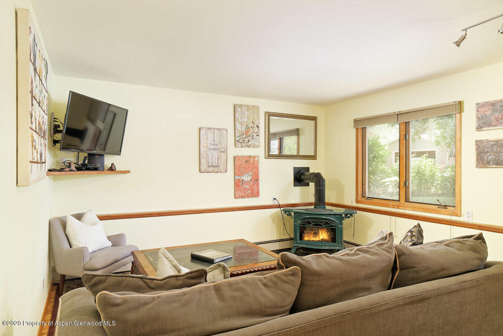35 Oak Run Road Carbondale, CO 81623 - Photo 12 of 16 Apartment Living Room