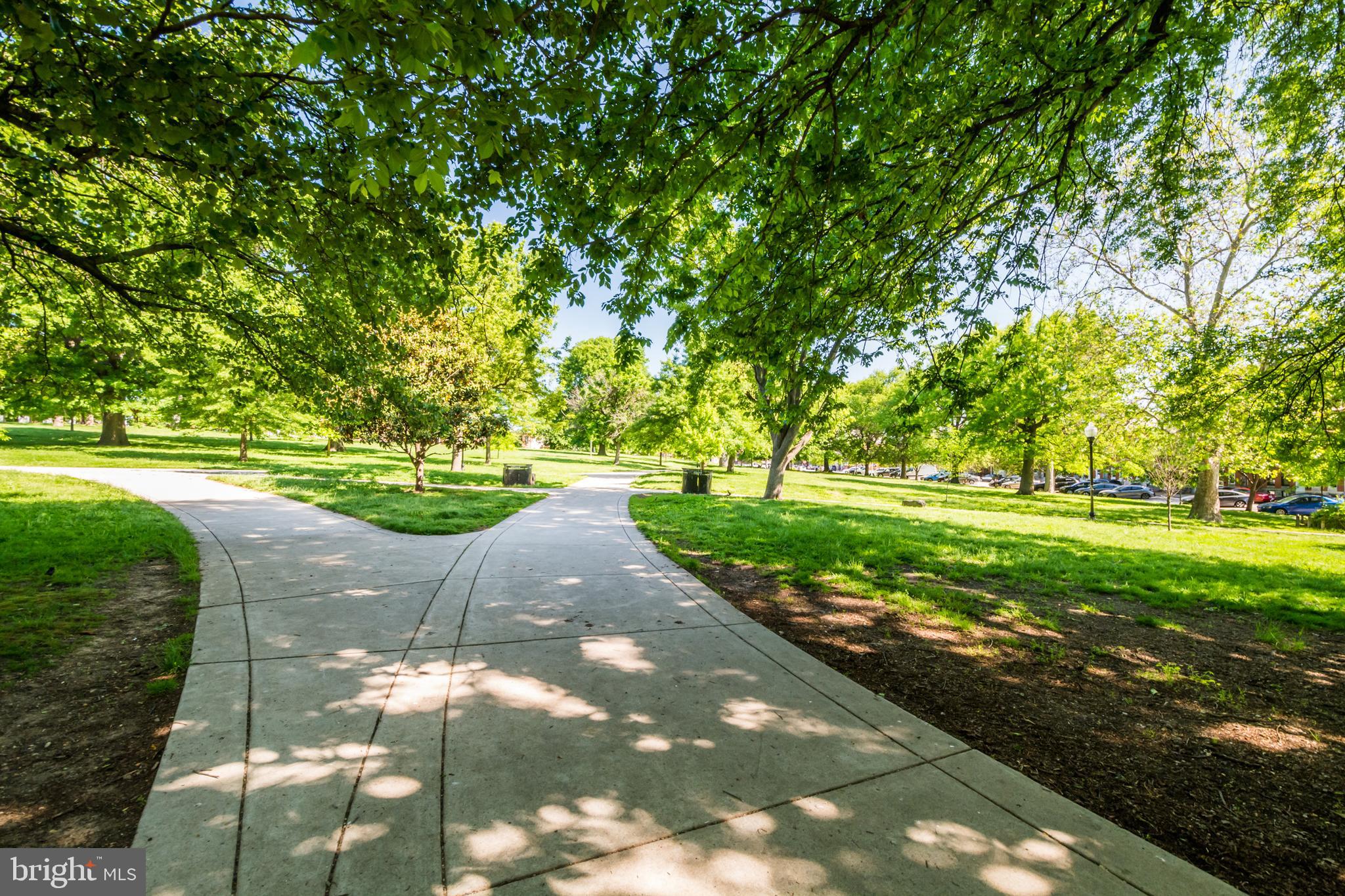 1261 Riverside Avenue Baltimore, MD 21230 - Photo 42 of 60 a view of a park with large trees