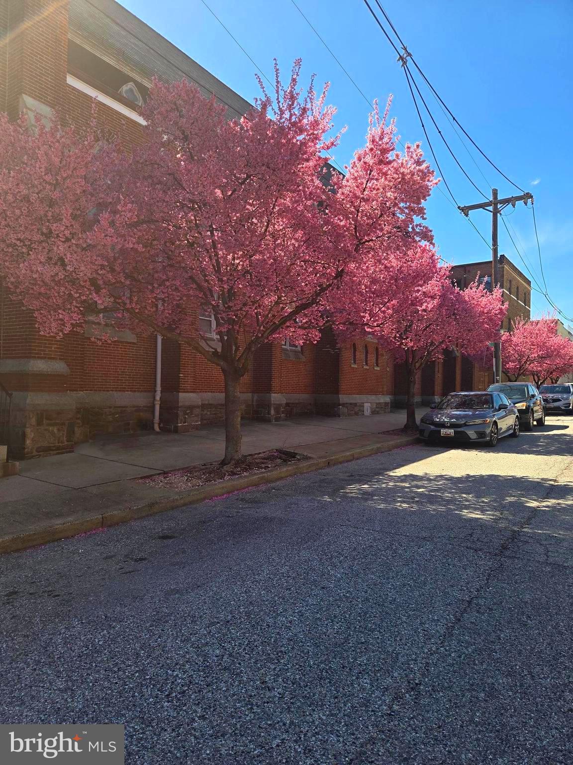 1261 Riverside Avenue Baltimore, MD 21230 - Photo 58 of 60 a front view of house with yard