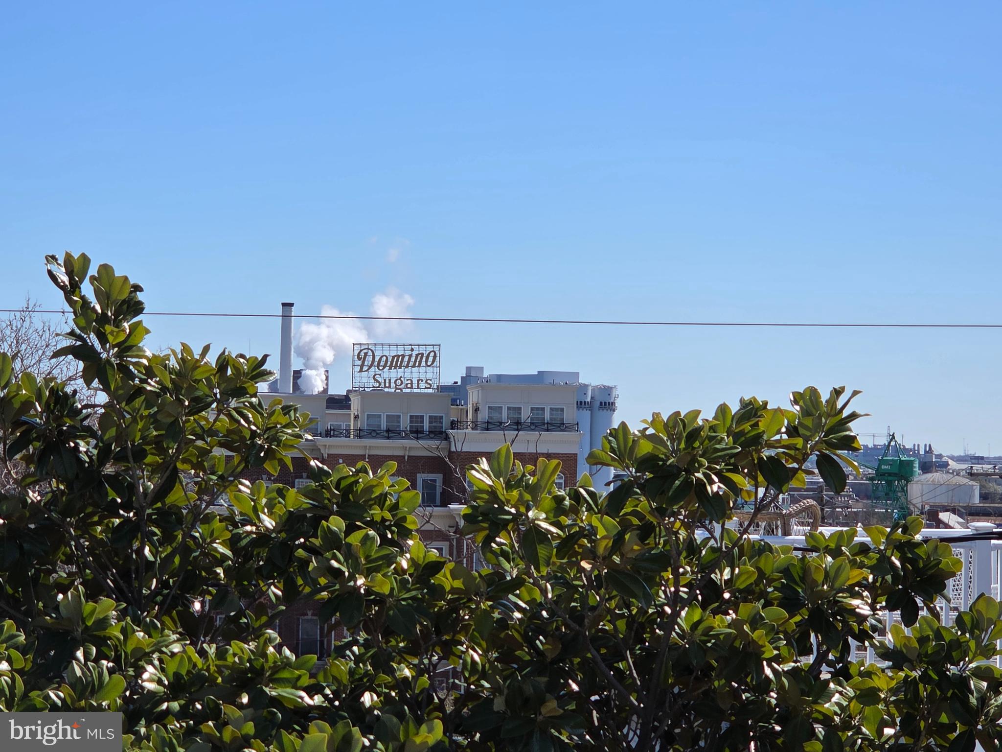 1261 Riverside Avenue Baltimore, MD 21230 - Photo 60 of 60 a view of a bunch of flowers