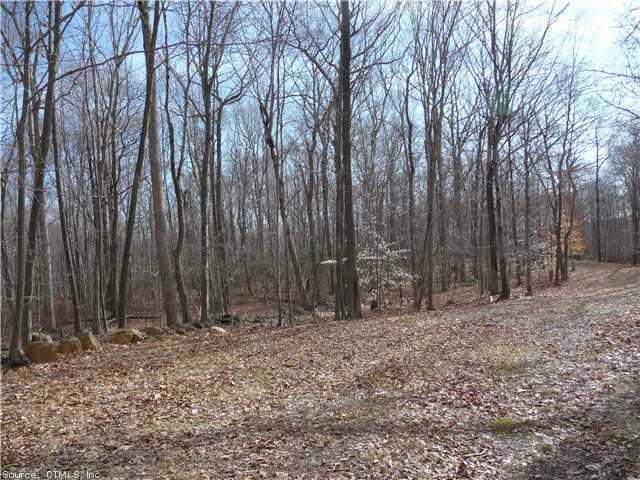 Lot 3 Jackson Road Higganum, CT 06441 - Photo 1 of 1 a view of backyard with trees