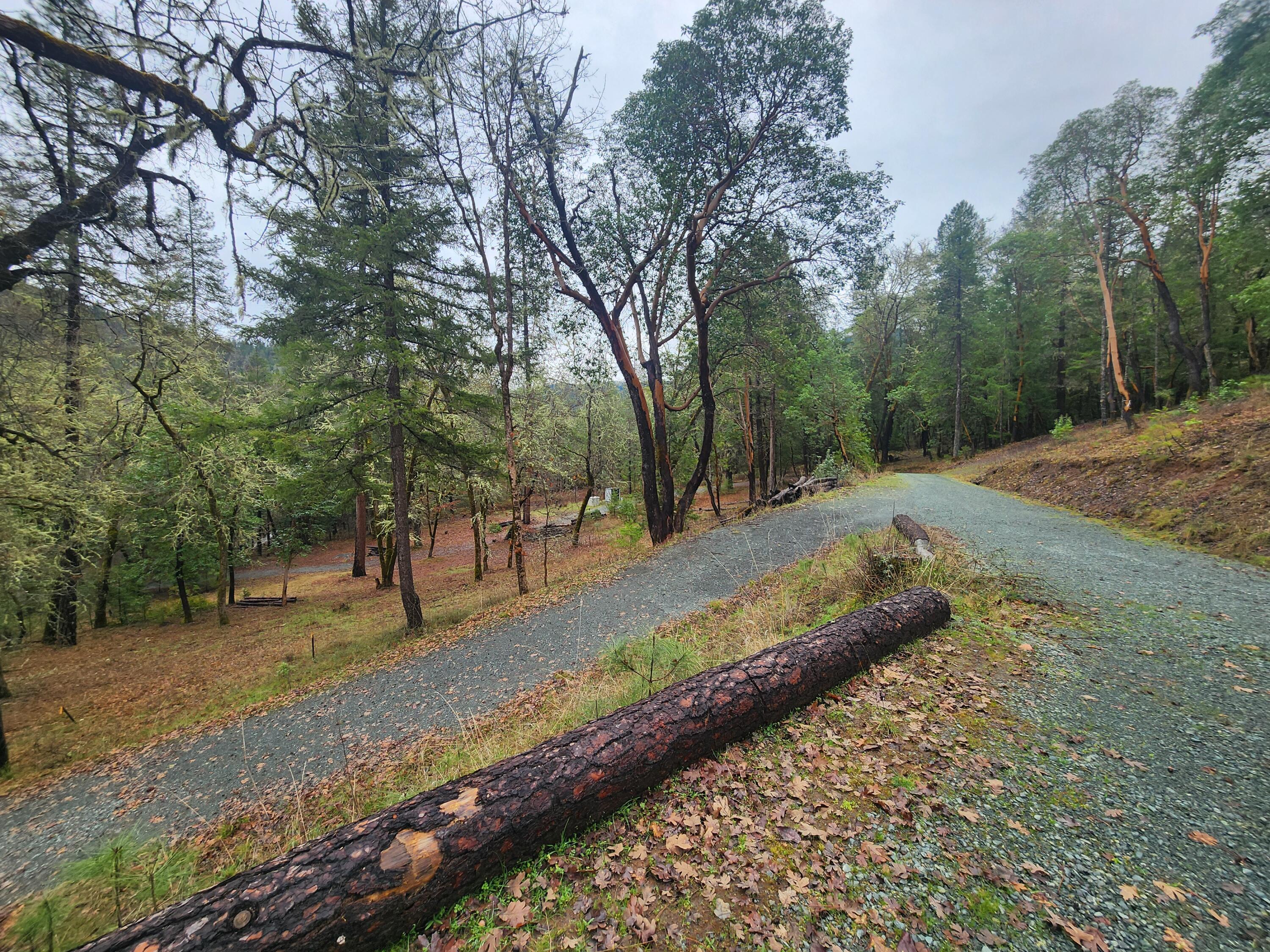 11238 East Evans Creek Road Rogue River, OR 97537 - Photo 25 of 29 a view of a yard with large trees