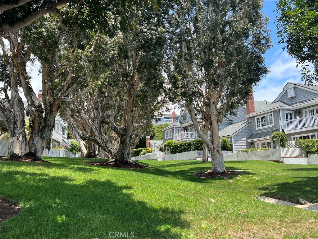 33908 Cape Cove Dana Point, CA 92629 - Photo 20 of 71 View of greenbelt from patio.
