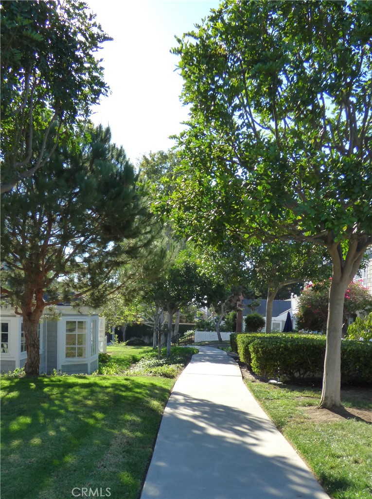 33908 Cape Cove Dana Point, CA 92629 - Photo 57 of 71 a view of a backyard with table and chairs and a large tree