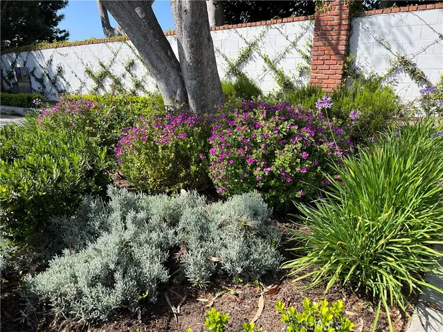 $8,500 | 33908 Cape Cove, Dana Point, CA 92629