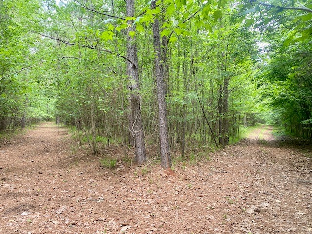 0 Pete Johnson Road Tignall, GA 30668 - Photo 5 of 43 Plenty of trails to ride UTVs