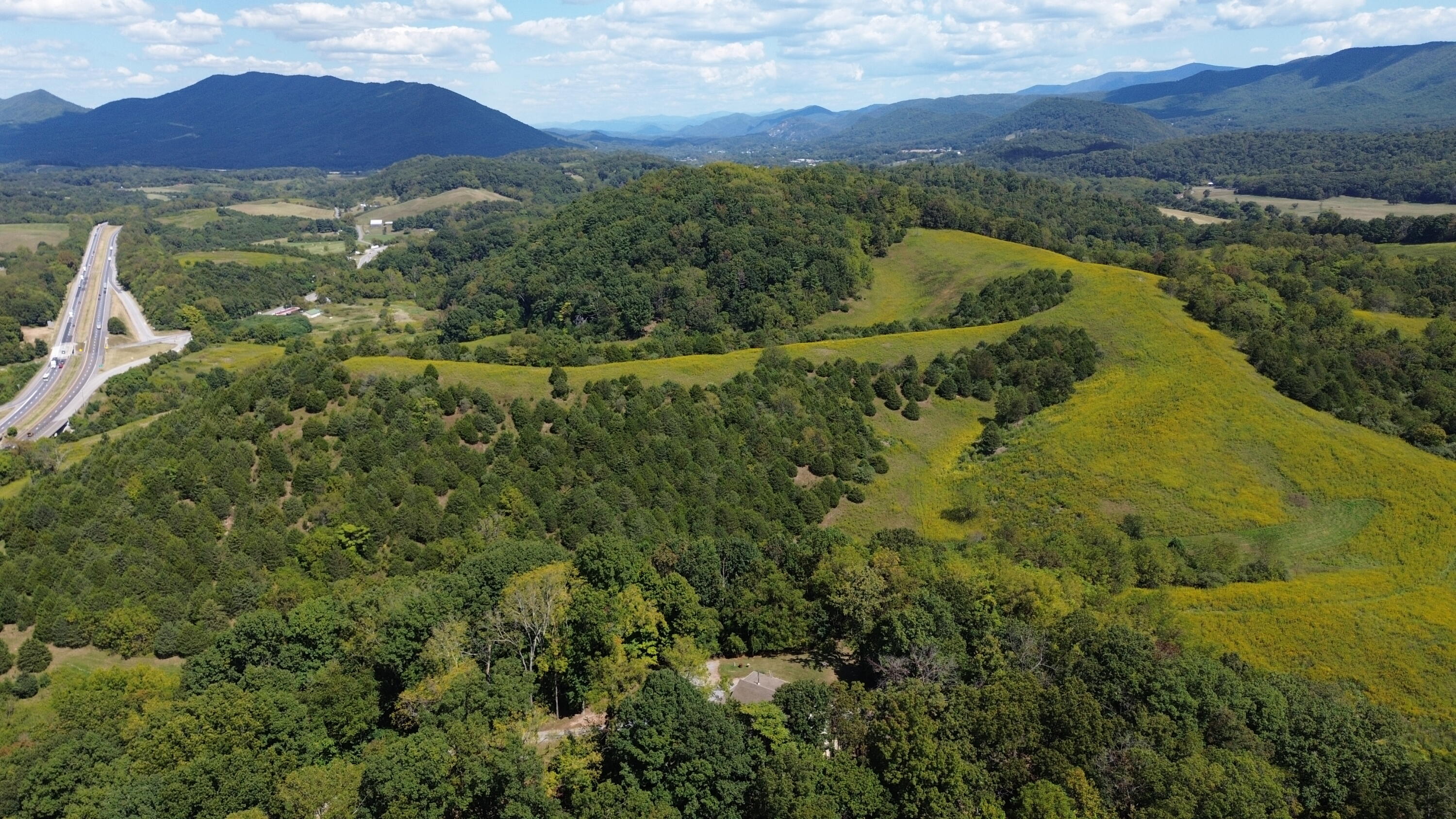 411 Hardbarger Road Buchanan, VA 24066 - Photo 45 of 70 411 Hardbarger RD