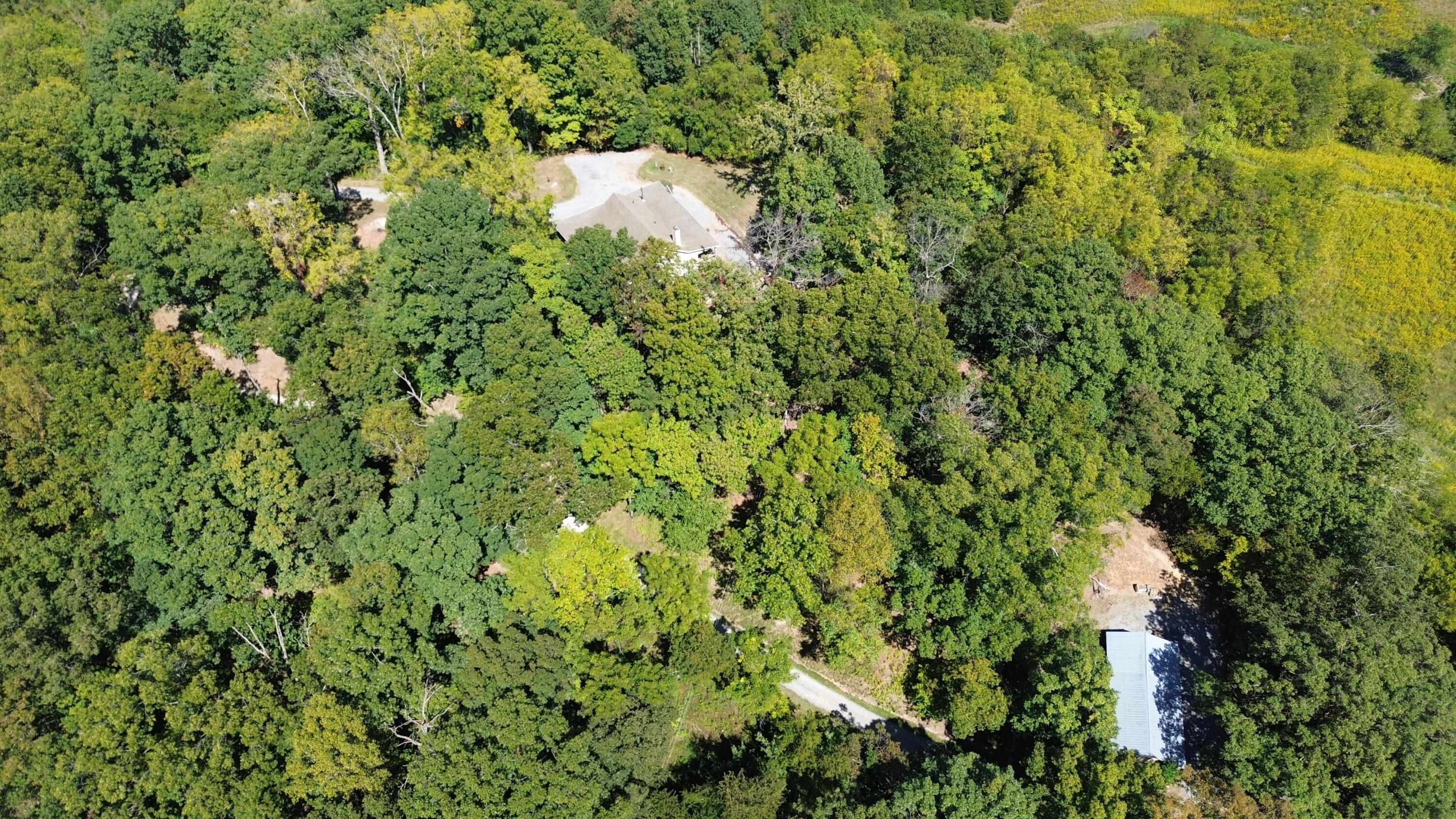 411 Hardbarger Road Buchanan, VA 24066 - Photo 46 of 70 411 Hardbarger RD