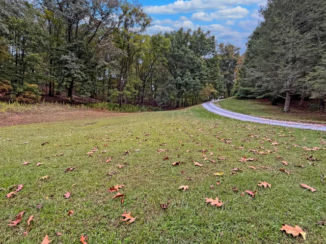 $535,000 | 411 Hardbarger Road, Buchanan, VA 24066