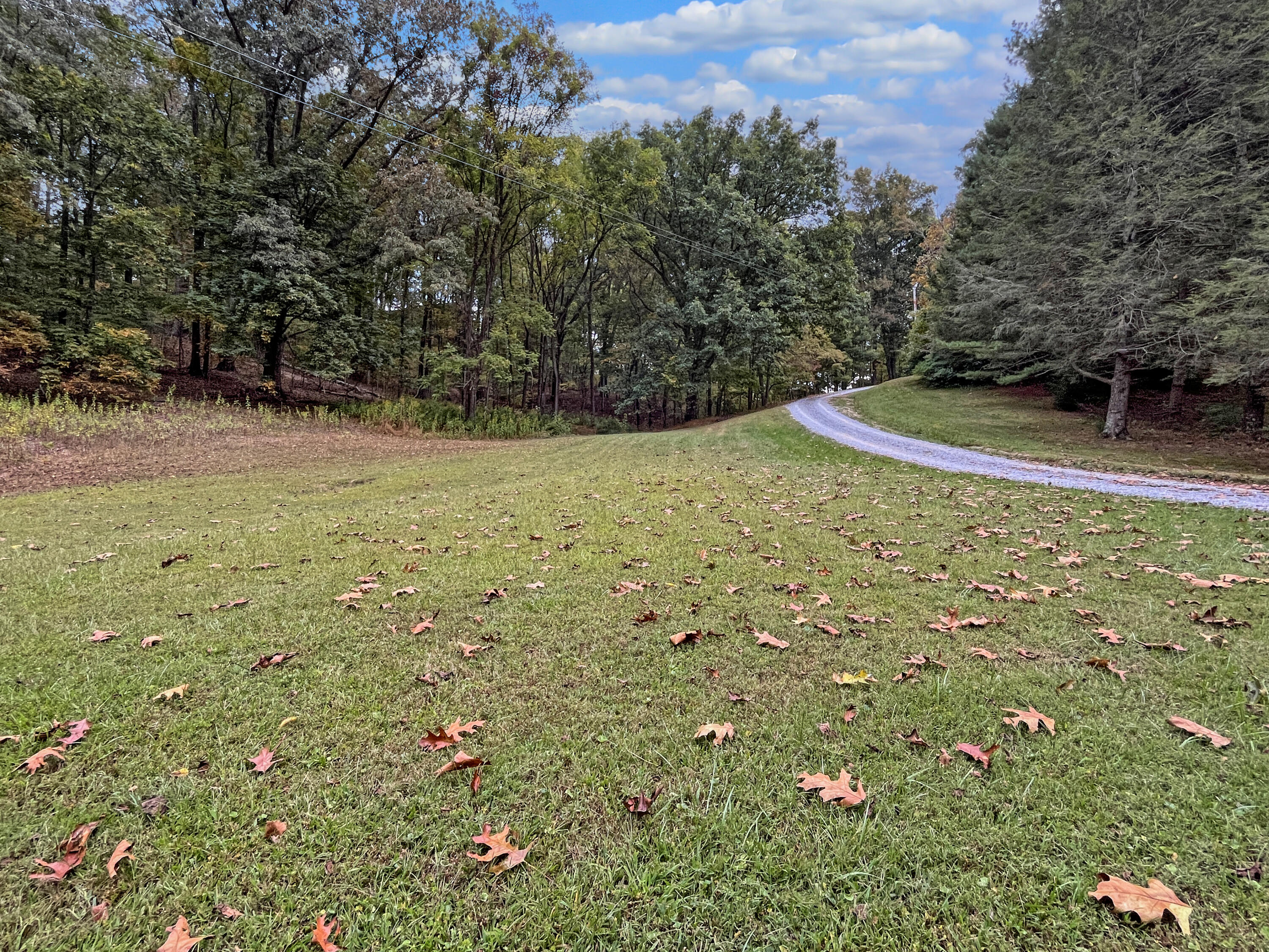 411 Hardbarger Road Buchanan, VA 24066 - Photo 48 of 70 411 Hardbarger RD