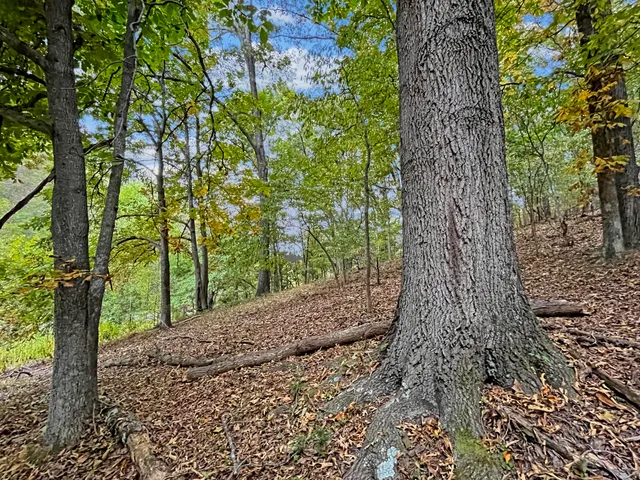 $535,000 | 411 Hardbarger Road, Buchanan, VA 24066