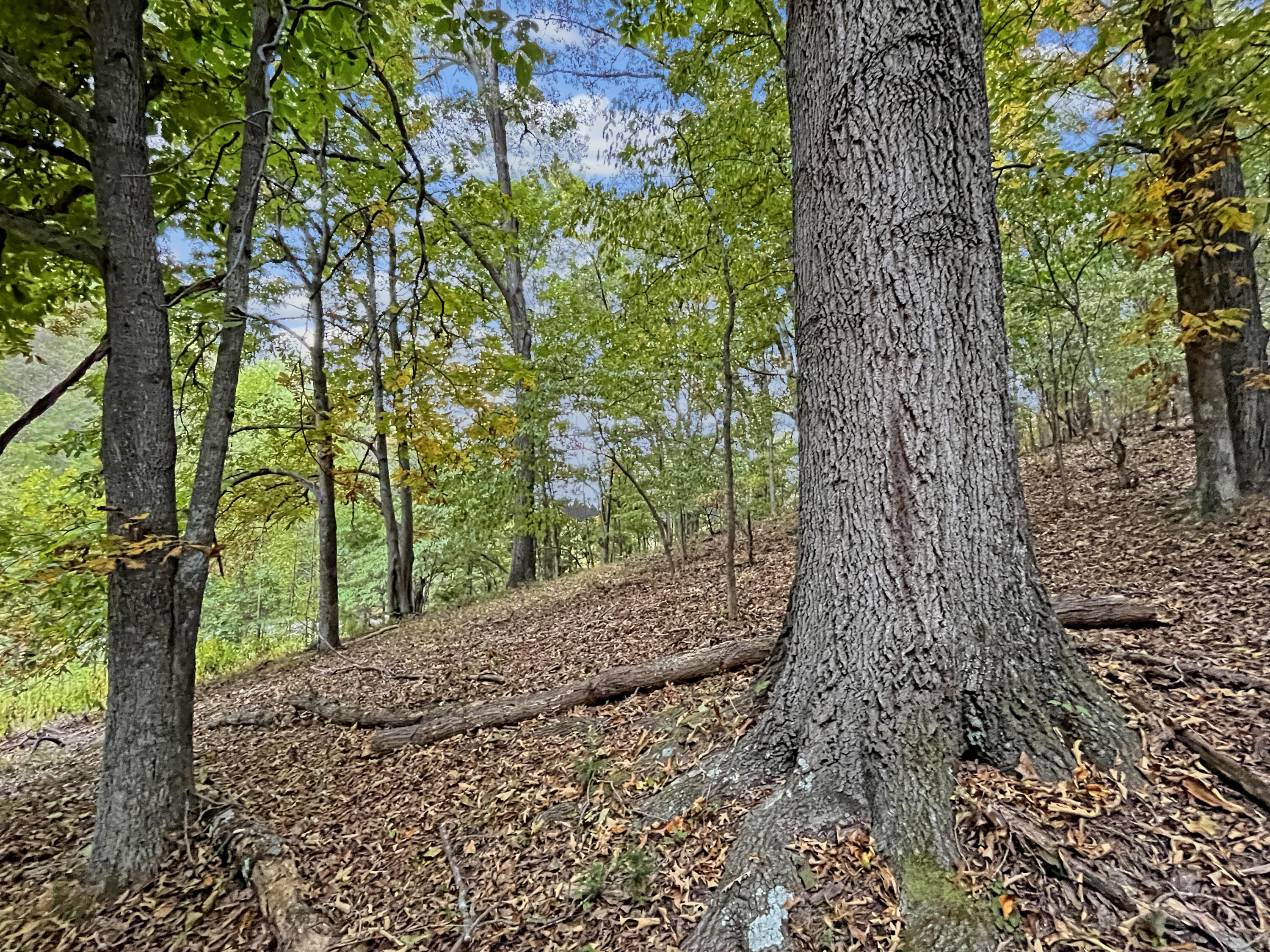 411 Hardbarger Road Buchanan, VA 24066 - Photo 60 of 70 411 Hardbarger RD