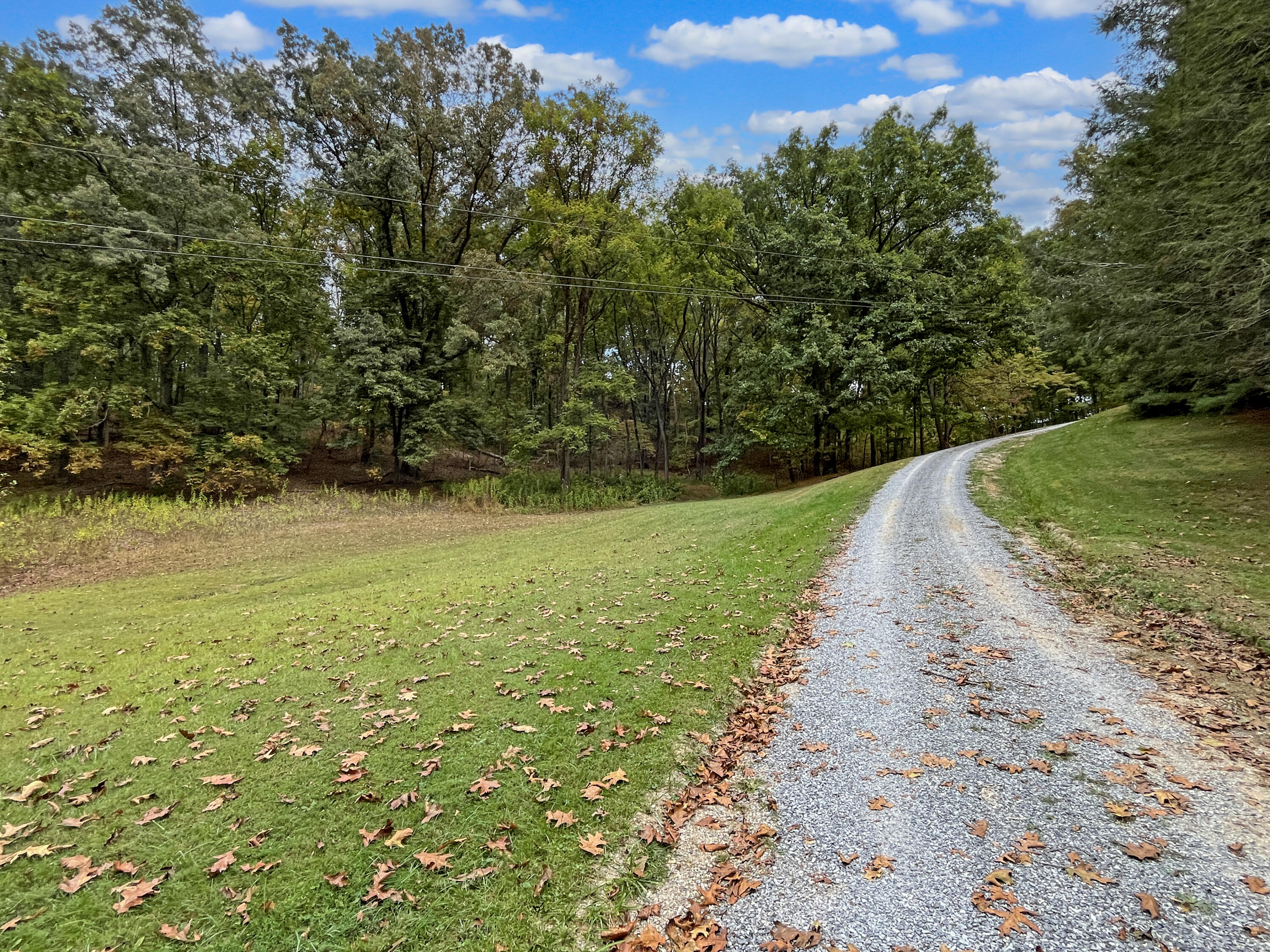 411 Hardbarger Road Buchanan, VA 24066 - Photo 64 of 70 411 Hardbarger RD