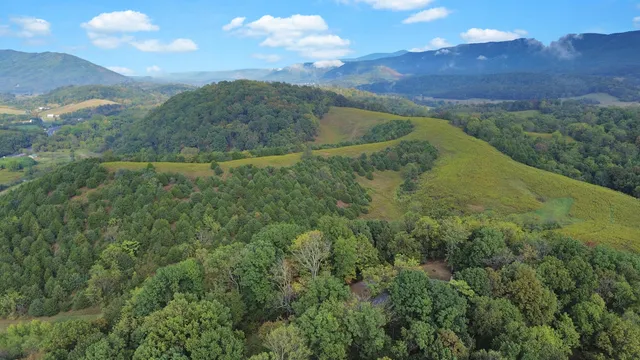 $535,000 | 411 Hardbarger Road, Buchanan, VA 24066