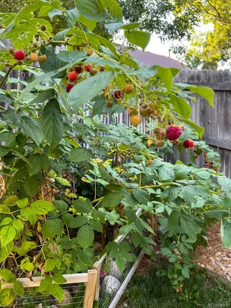 $550,000 | 5904 South Netherland Circle, Centennial, CO 80015